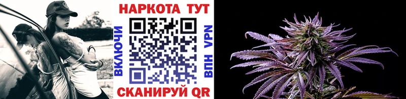 Где продают наркотики Кущёвская Псилоцибиновые грибы  Кокаин  МЕФ  Канабис  Гашиш 