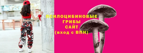 шишки Аркадак