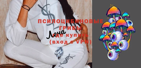 стаф Баксан
