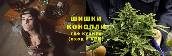 стаф Баксан