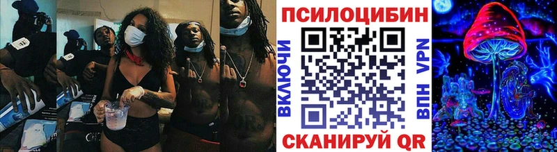 blacksprut вход  купить наркотик  Кущёвская  Галлюциногенные грибы Psilocybine cubensis 